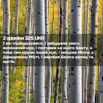 Picture 02 - 2 хроніки 32:5 UKR - І він підбадьорився, і - Bible Verse Picture