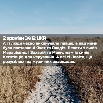 Picture 02 - 2 хроніки 34:12 UKR - А ті люди чесно виконували - Bible Verse Picture