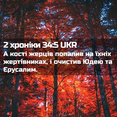 Picture 02 - 2 хроніки 34:5 UKR - А кості жерців попалив на - Bible Verse Picture