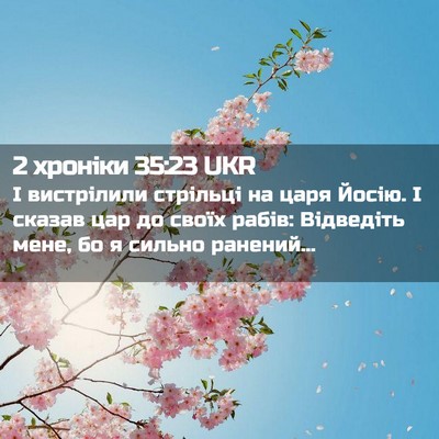 Picture 02 - 2 хроніки 35:23 UKR - І вистрілили стрільці на - Bible Verse Picture