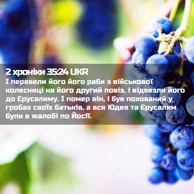 Picture 02 - 2 хроніки 35:24 UKR - І перевели його його раби з - Bible Verse Picture