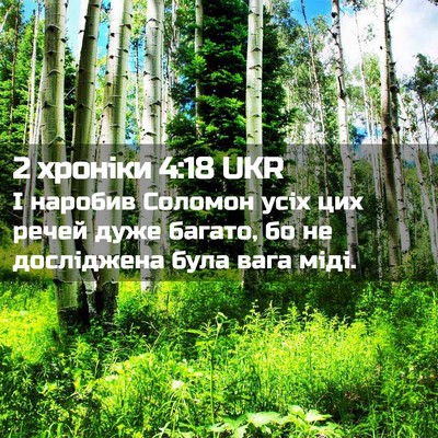 Picture 02 - 2 хроніки 4:18 UKR - І наробив Соломон усіх цих - Bible Verse Picture