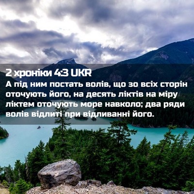 Picture 02 - 2 хроніки 4:3 UKR - А під ним постать волів, що - Bible Verse Picture