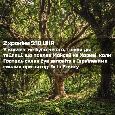 Picture 02 - 2 хроніки 5:10 UKR - У ковчезі не було нічого, - Bible Verse Picture
