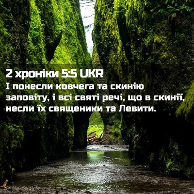 Picture 02 - 2 хроніки 5:5 UKR - І понесли ковчега та - Bible Verse Picture