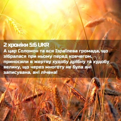 Picture 02 - 2 хроніки 5:6 UKR - А цар Соломон та вся - Bible Verse Picture
