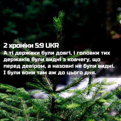 Picture 02 - 2 хроніки 5:9 UKR - А ті держаки були довгі, і - Bible Verse Picture