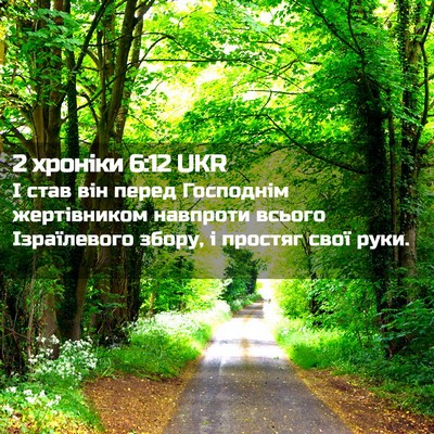 Picture 02 - 2 хроніки 6:12 UKR - І став він перед Господнім - Bible Verse Picture