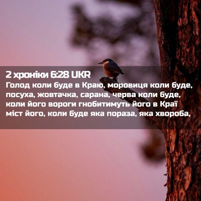 Picture 02 - 2 хроніки 6:28 UKR - Голод коли буде в Краю, - Bible Verse Picture