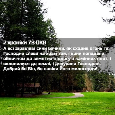 Picture 02 - 2 хроніки 7:3 UKR - А всі Ізраїлеві сини - Bible Verse Picture