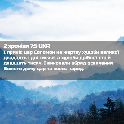 Picture 02 - 2 хроніки 7:5 UKR - І приніс цар Соломон на - Bible Verse Picture