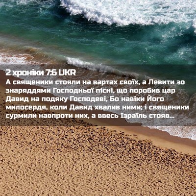 Picture 02 - 2 хроніки 7:6 UKR - А священики стояли на - Bible Verse Picture