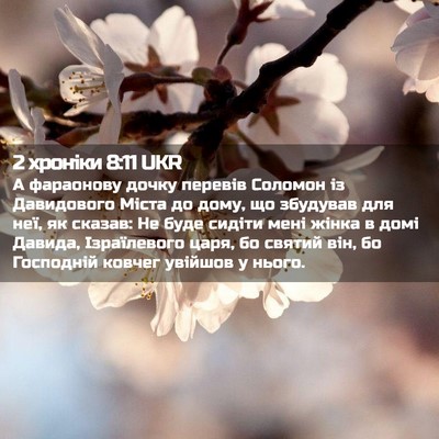 Picture 02 - 2 хроніки 8:11 UKR - А фараонову дочку перевів - Bible Verse Picture