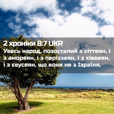 Picture 02 - 2 хроніки 8:7 UKR - Увесь народ, позосталий з - Bible Verse Picture