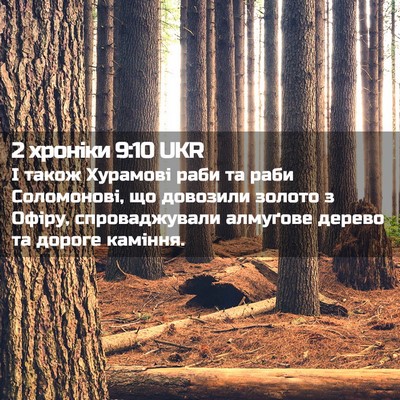Picture 02 - 2 хроніки 9:10 UKR - І також Хурамові раби та - Bible Verse Picture