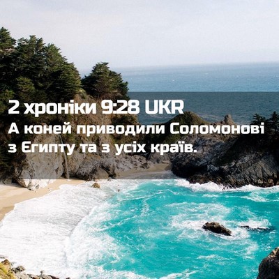 Picture 02 - 2 хроніки 9:28 UKR - А коней приводили - Bible Verse Picture