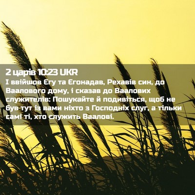 Picture 02 - 2 царів 10:23 UKR - І ввійшов Єгу та Єгонадав, - Bible Verse Picture