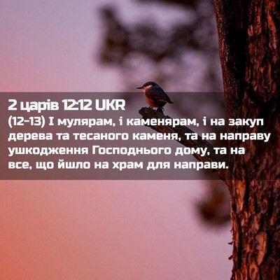 Picture 02 - 2 царів 12:12 UKR - (12-13) І мулярам, і каменярам, - Bible Verse Picture