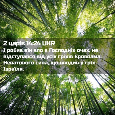 Picture 02 - 2 царів 14:24 UKR - І робив він зло в Господніх - Bible Verse Picture