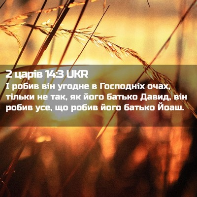 Picture 02 - 2 царів 14:3 UKR - І робив він угодне в - Bible Verse Picture