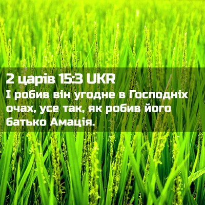 Picture 02 - 2 царів 15:3 UKR - І робив він угодне в - Bible Verse Picture