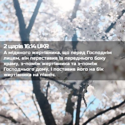 Picture 02 - 2 царів 16:14 UKR - А мідяного жертівника, що - Bible Verse Picture