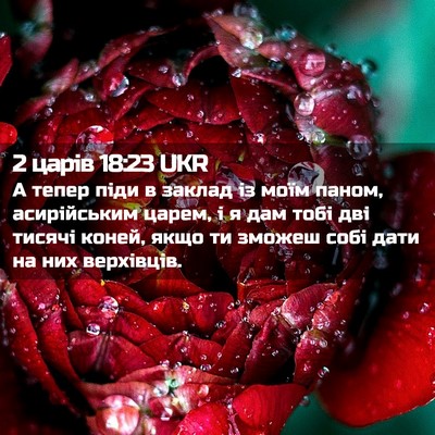 Picture 02 - 2 царів 18:23 UKR - А тепер піди в заклад із - Bible Verse Picture