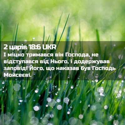 Picture 02 - 2 царів 18:6 UKR - І міцно тримався він - Bible Verse Picture