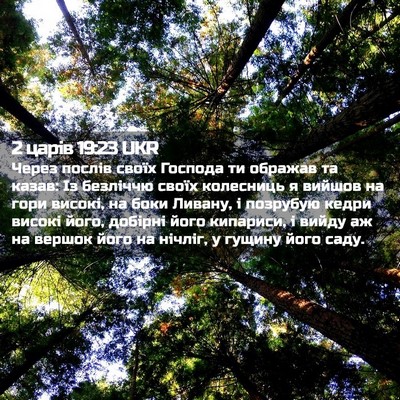 Picture 02 - 2 царів 19:23 UKR - Через послів своїх Господа - Bible Verse Picture
