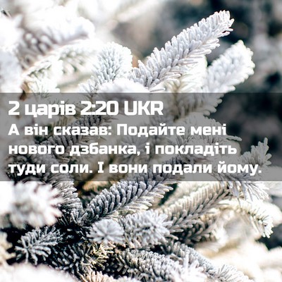 Picture 02 - 2 царів 2:20 UKR - А він сказав: Подайте мені - Bible Verse Picture
