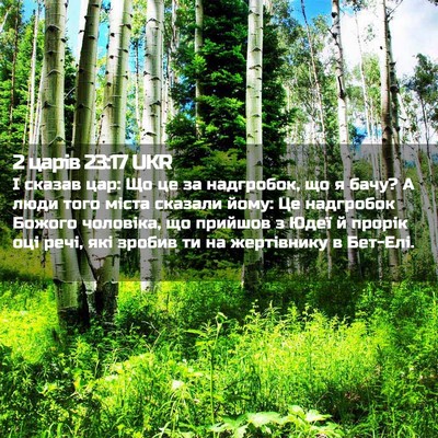 Picture 02 - 2 царів 23:17 UKR - І сказав цар: Що це за - Bible Verse Picture