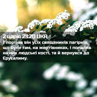 Picture 02 - 2 царів 23:20 UKR - І порізав він усіх - Bible Verse Picture