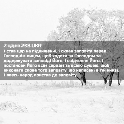Picture 02 - 2 царів 23:3 UKR - І став цар на підвищенні, і - Bible Verse Picture