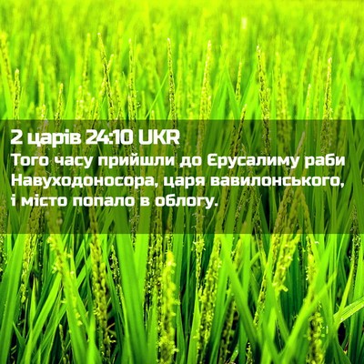Picture 02 - 2 царів 24:10 UKR - Того часу прийшли до - Bible Verse Picture