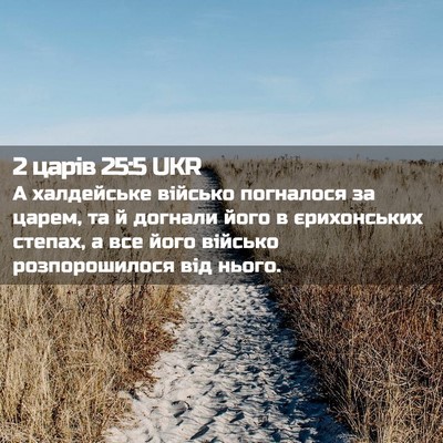 Picture 02 - 2 царів 25:5 UKR - А халдейське військо - Bible Verse Picture