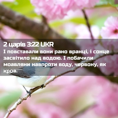Picture 02 - 2 царів 3:22 UKR - І повставали вони рано - Bible Verse Picture