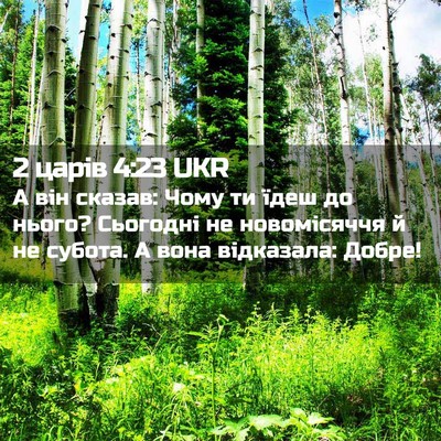 Picture 02 - 2 царів 4:23 UKR - А він сказав: Чому ти їдеш - Bible Verse Picture