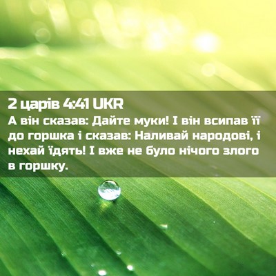 Picture 02 - 2 царів 4:41 UKR - А він сказав: Дайте муки! І - Bible Verse Picture