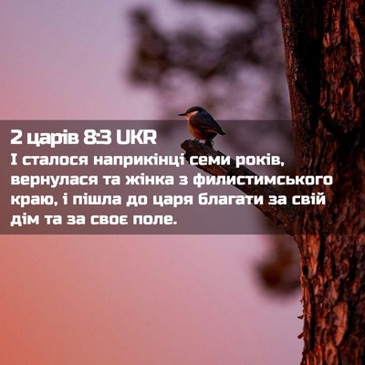 Picture 02 - 2 царів 8:3 UKR - І сталося наприкінці семи - Bible Verse Picture