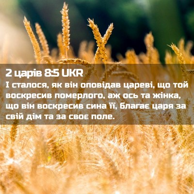 Picture 02 - 2 царів 8:5 UKR - І сталося, як він оповідав - Bible Verse Picture