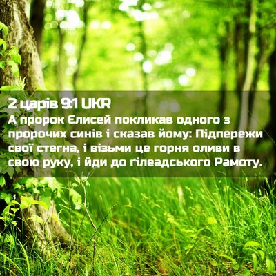 Picture 02 - 2 царів 9:1 UKR - А пророк Єлисей покликав - Bible Verse Picture