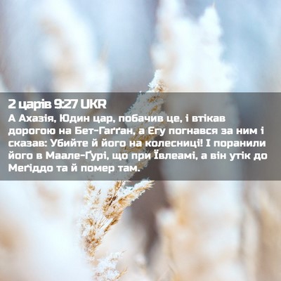 Picture 02 - 2 царів 9:27 UKR - А Ахазія, Юдин цар, побачив - Bible Verse Picture
