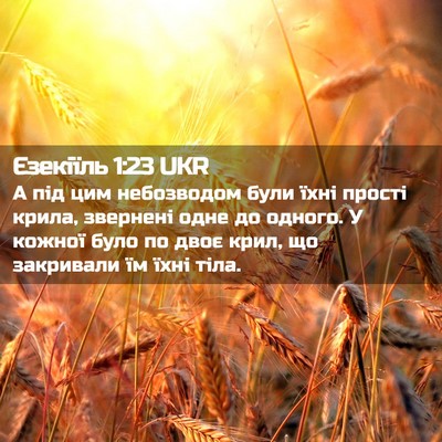 Picture 02 - Єзекіїль 1:23 UKR - А під цим небозводом були - Bible Verse Picture