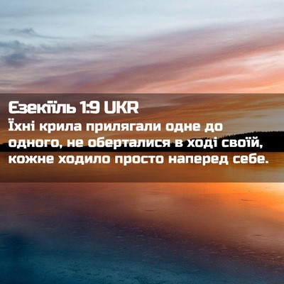 Picture 02 - Єзекіїль 1:9 UKR - Їхні крила прилягали одне - Bible Verse Picture