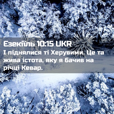 Picture 02 - Єзекіїль 10:15 UKR - І піднялися ті Херувими. Це - Bible Verse Picture