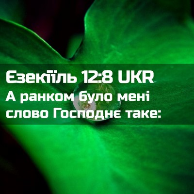 Picture 02 - Єзекіїль 12:8 UKR - А ранком було мені слово - Bible Verse Picture