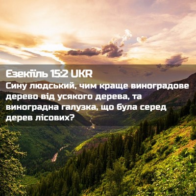 Picture 02 - Єзекіїль 15:2 UKR - Сину людський, чим краще - Bible Verse Picture