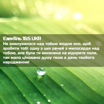 Picture 02 - Єзекіїль 16:5 UKR - Не змилувалося над тобою - Bible Verse Picture