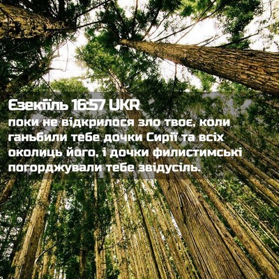 Picture 02 - Єзекіїль 16:57 UKR - поки не відкрилося зло - Bible Verse Picture