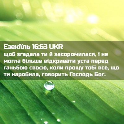 Picture 02 - Єзекіїль 16:63 UKR - щоб згадала ти й - Bible Verse Picture